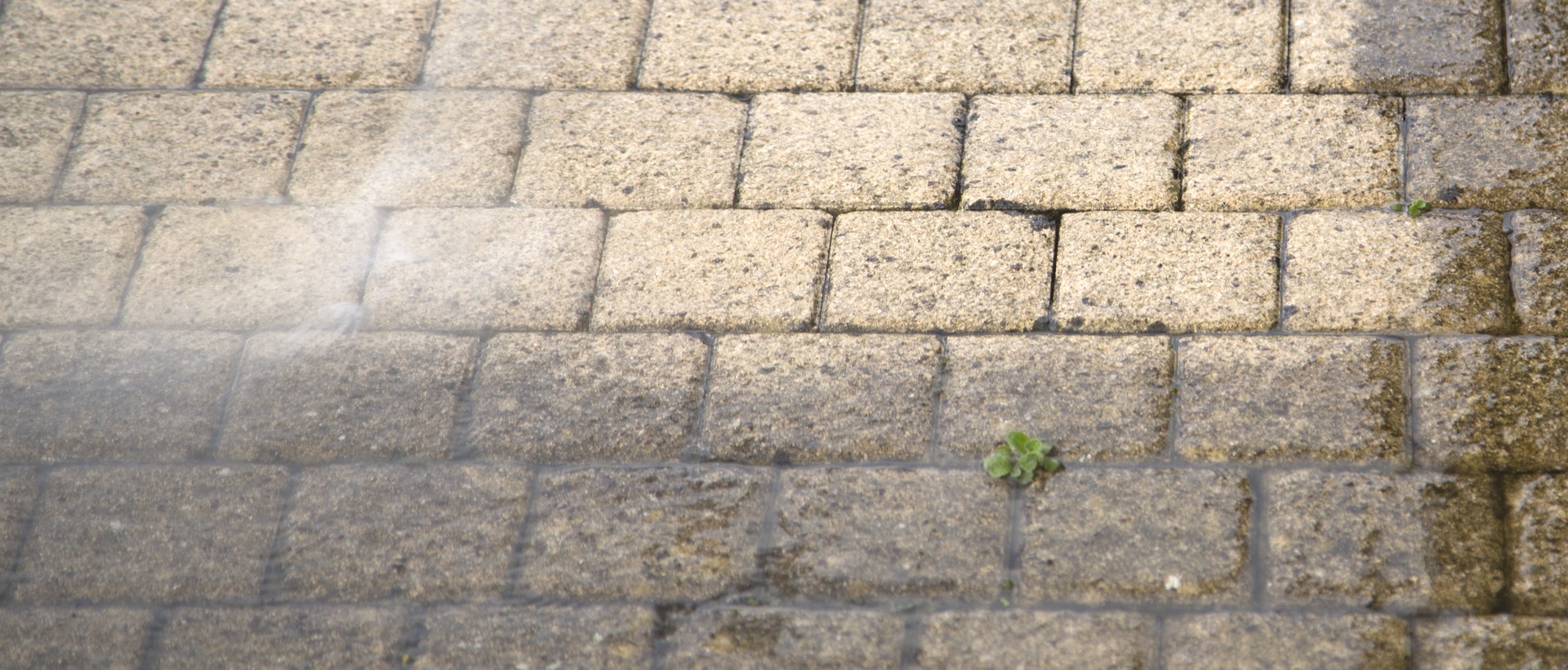 flagging and patios CR6