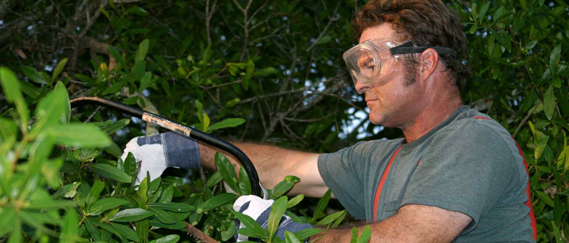 garden clearance CR6